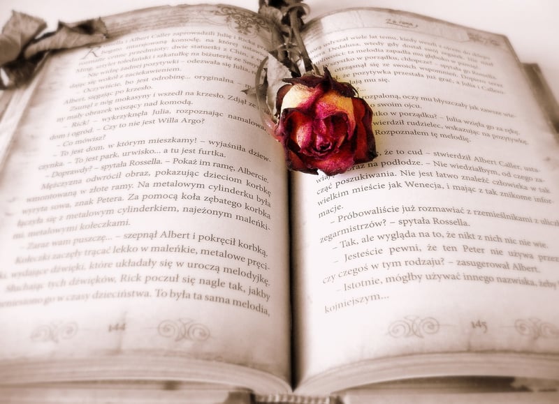 Seek Knowledge and Wisdom